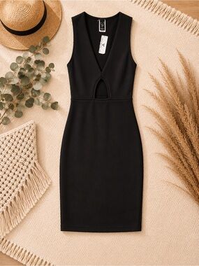 Windsor Black Sleeveless Cutout Bodycon Mini Dress